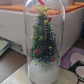 Christmas Tree Message in a Bottle Christmas gift